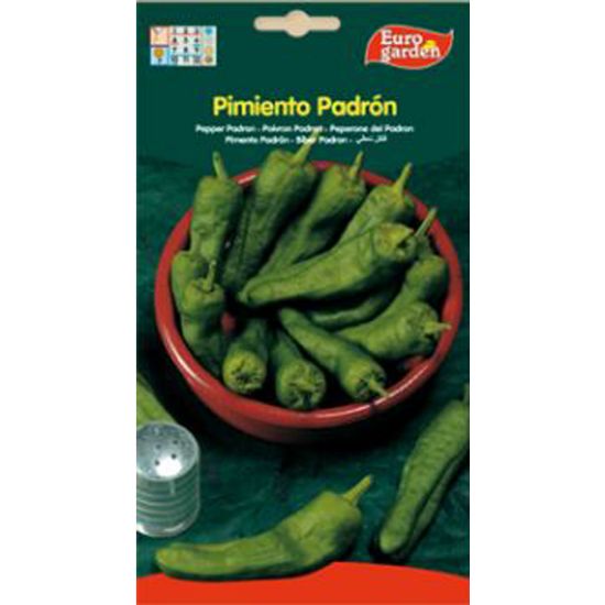 Imagen de Semilla sobre pimiento Padrón