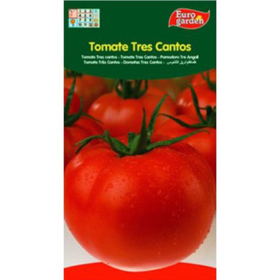 Imagen de Semilla sobre tomate Tres Cantos