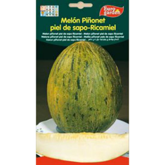 Imagen de Semilla sobre melón Piñonet piel de sapo