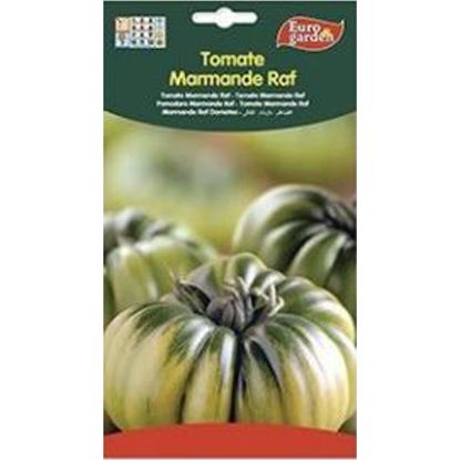 Imagen de Semilla sobre tomate Marmande Raf