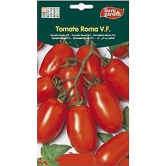Imagen de Semilla sobre tomate Roma