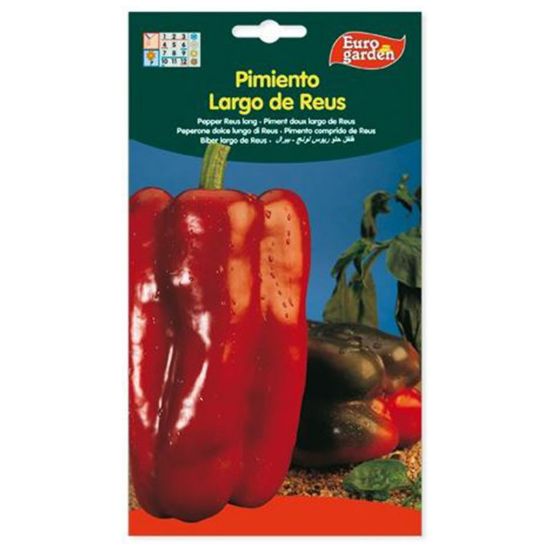 Imagen de Semilla sobre pimiento Reus Largo