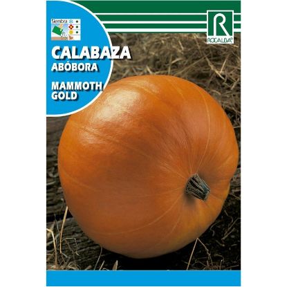 Imagen de Semilla sobre calabaza Mammoth Gold