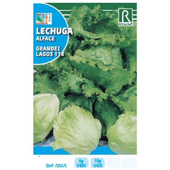 Imagen de Semilla sobre lechuga Grandes Lagos