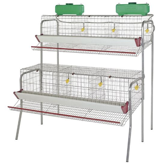 Imagen de Jaula gallinas 6 departamentos 2 pisos