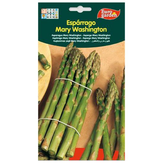 Imagen de Semilla sobre espárrago Mary Washington