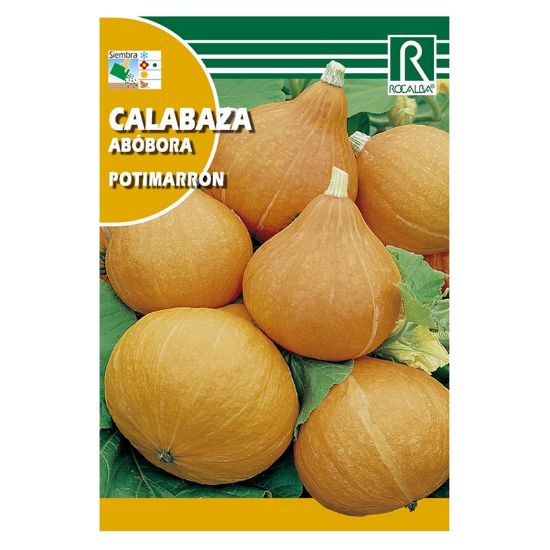 Imagen de Semilla sobre calabaza Potimarron