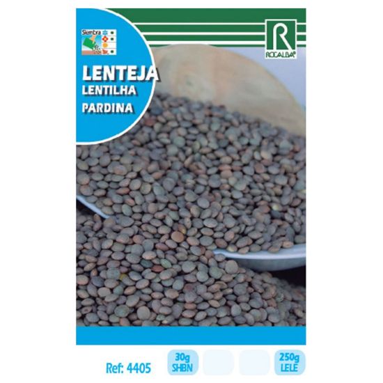 Imagen de Semilla sobre lenteja Pardina
