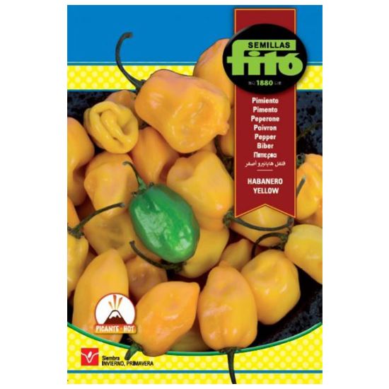 Imagen de Semilla sobre pimiento Habanero Yellow