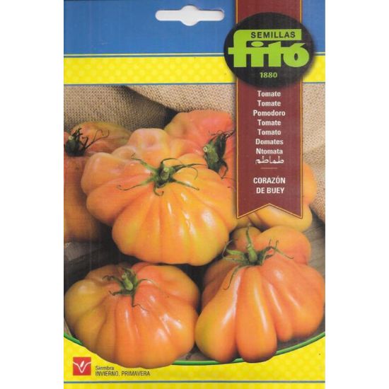 Imagen de Semilla sobre tomate Corazón de buey