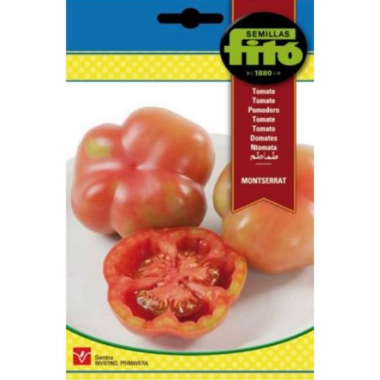 Imagen de Semilla sobre tomate Montserrat