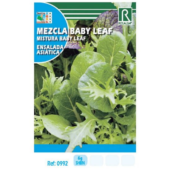 Imagen de Semilla sobre lechuga mezcla Baby Leaf (ensalada asiática)