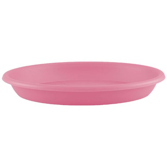 Imagen de Plato redondo 18 cm rosa