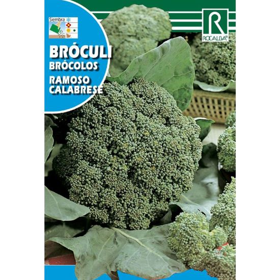 Imagen de Semilla sobre brócoli