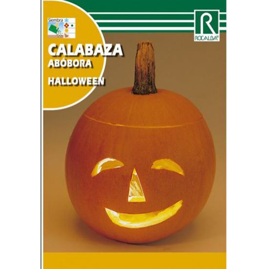 Imagen de Semilla sobre calabaza halloween