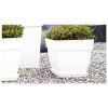 Imagen de Plato cuadrado Capri 35 cm blanco