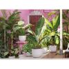Imagen de Maceta Havana Tropical 50 cm volcan