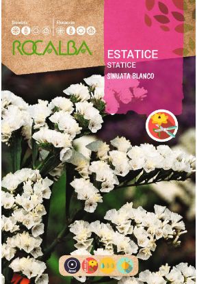 Imagen de Semilla sobre estatice blanco (Sinuata Blanca) Rocalba