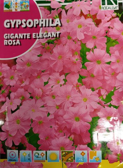 Imagen de Semilla Gypsophila Gigante Elegant Rosa