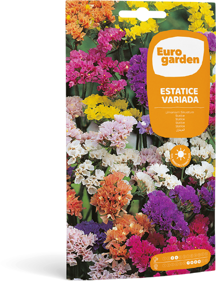 Imagen de Semilla Sobre Estatice variada Eurogarden