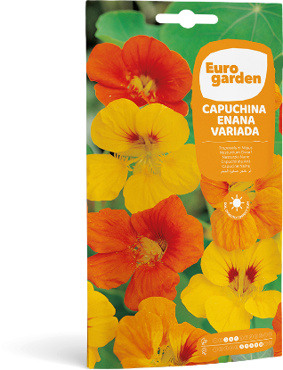 Imagen de Semilla sobre Capuchina Enana Variada Eurogarden