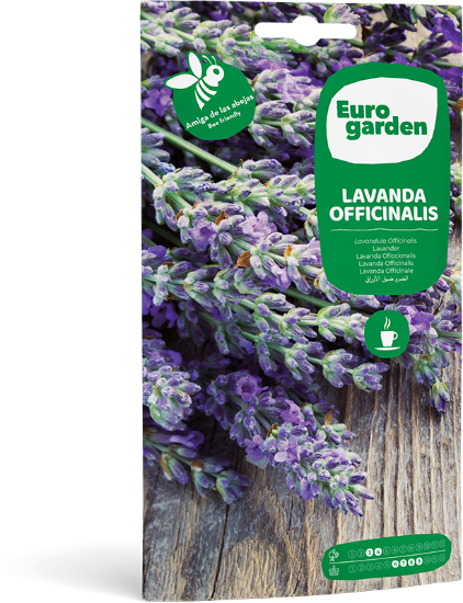 Imagen de Semilla sobre Lavanda Officinalis Eurogarden