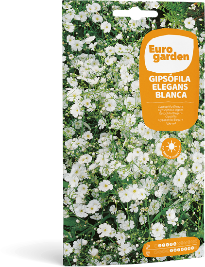 Imagen de Semilla Gypsophila Blanca - Paniculata Eurogarden