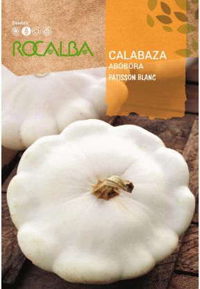 Imagen de Semilla sobre calabaza Patisson Blanc