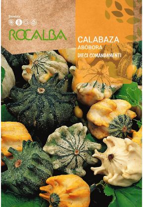 Imagen de Semilla sobre calabaza Dieci Comandamenti