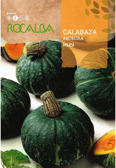 Imagen de Semilla sobre calabaza Delica