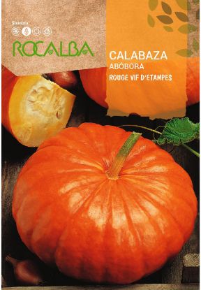 Imagen de Semilla sobre calabaza Rouge Vif D´Etampes