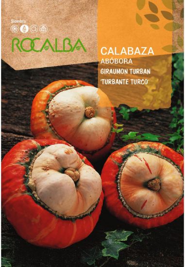 Imagen de Semilla sobre calabaza Giraumont Turban Turco