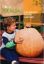 Imagen de Semilla sobre calabaza Atlantic Giant