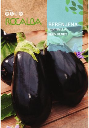 Imagen de Semilla sobre berenjena Black Beauty