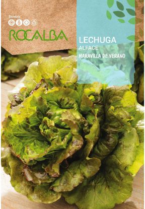 Imagen de Semilla sobre lechuga Maravilla de verano