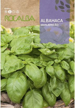 Imagen de Semilla sobre albahaca