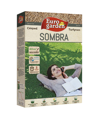 Imagen de Césped Sombra 1 kg