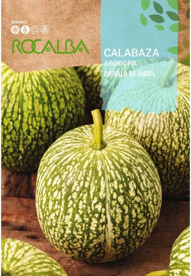 Imagen de Semilla sobre calabaza Cabello de Ángel