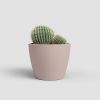 Imagen de Maceta cerámica Nubia Cactus 8cm rosa claro