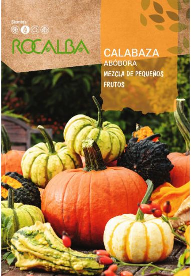 Imagen de Semilla Sobre Calabaza Mezcla pequeños frutos ROCALBA