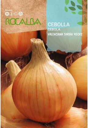 Imagen de Semilla sobre cebolla Valenciana tardía "Recas" ROCALBA