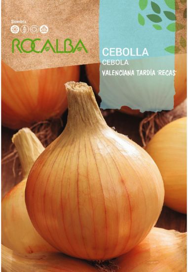 Imagen de Semilla sobre cebolla Valenciana tardía "Recas" ROCALBA