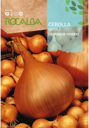 Imagen de Semilla sobre cebolla colorada de Figueras ROCALBA