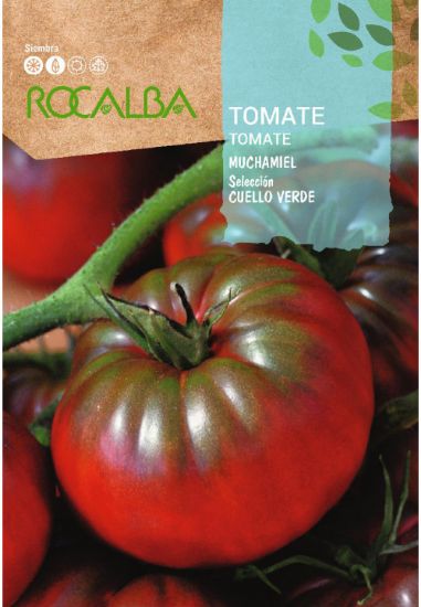 Imagen de Semilla sobre tomate Muchamiel Cuello verde ROCALBA