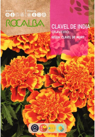 Imagen de Semilla sobre clavel de india Helen doble enano