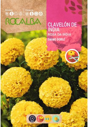 Imagen de Semilla sobre clavelón Rosa de India enano doble amarillo