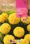 Imagen de Semilla sobre clavelón Rosa de India enano doble amarillo