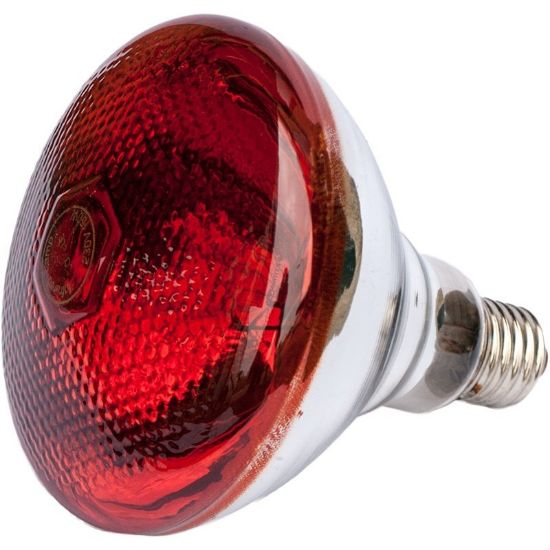 Imagen de Bombilla calefactora 100 w para pollos